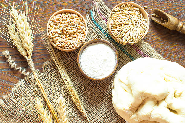 Whole Wheat Dinner Rolls Recipe