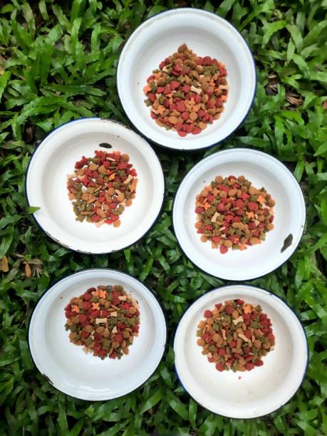 Nature’s Blend Dog Food