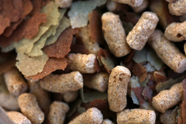 Fish Food Flakes