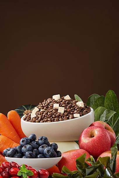 Nature’s Blend Dog Food
