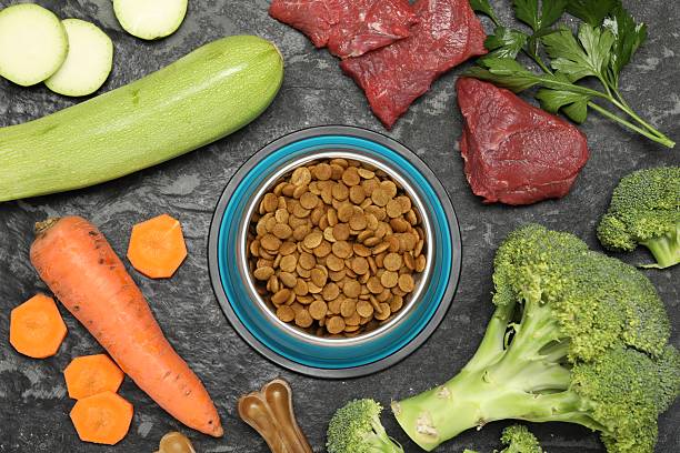 Nature’s Blend Dog Food